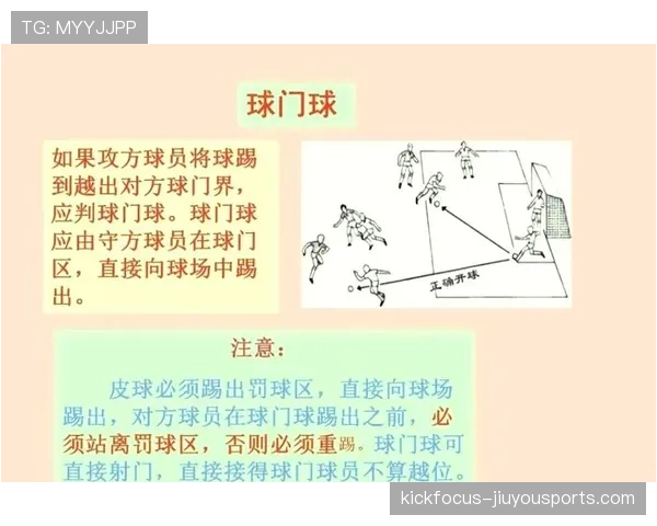 球门球的判罚标准与执行规则详解解析